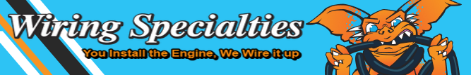 ws